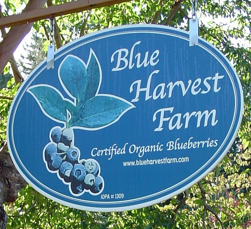 Blue Harvest Farm