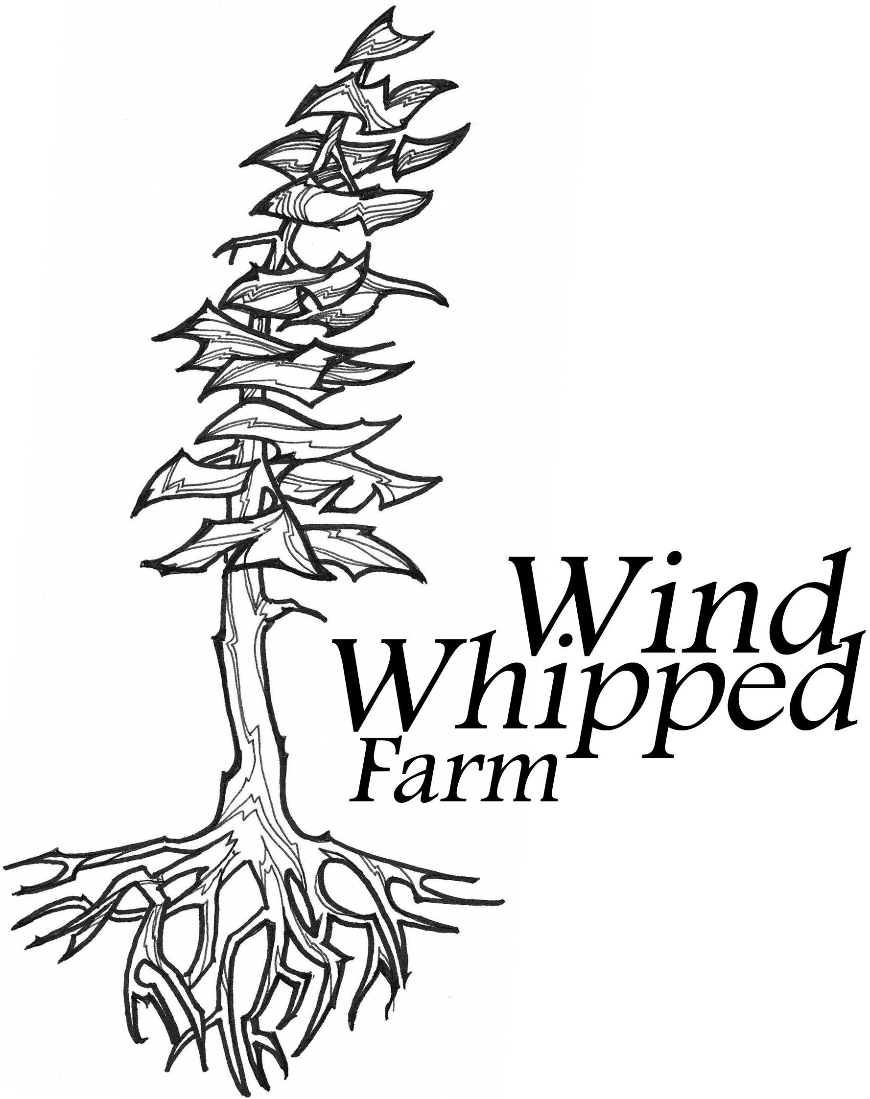 Wind Whipped Farm