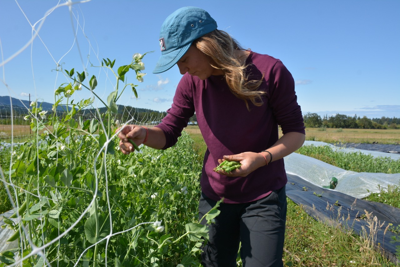 Sandown Centre for Regenerative Agriculture